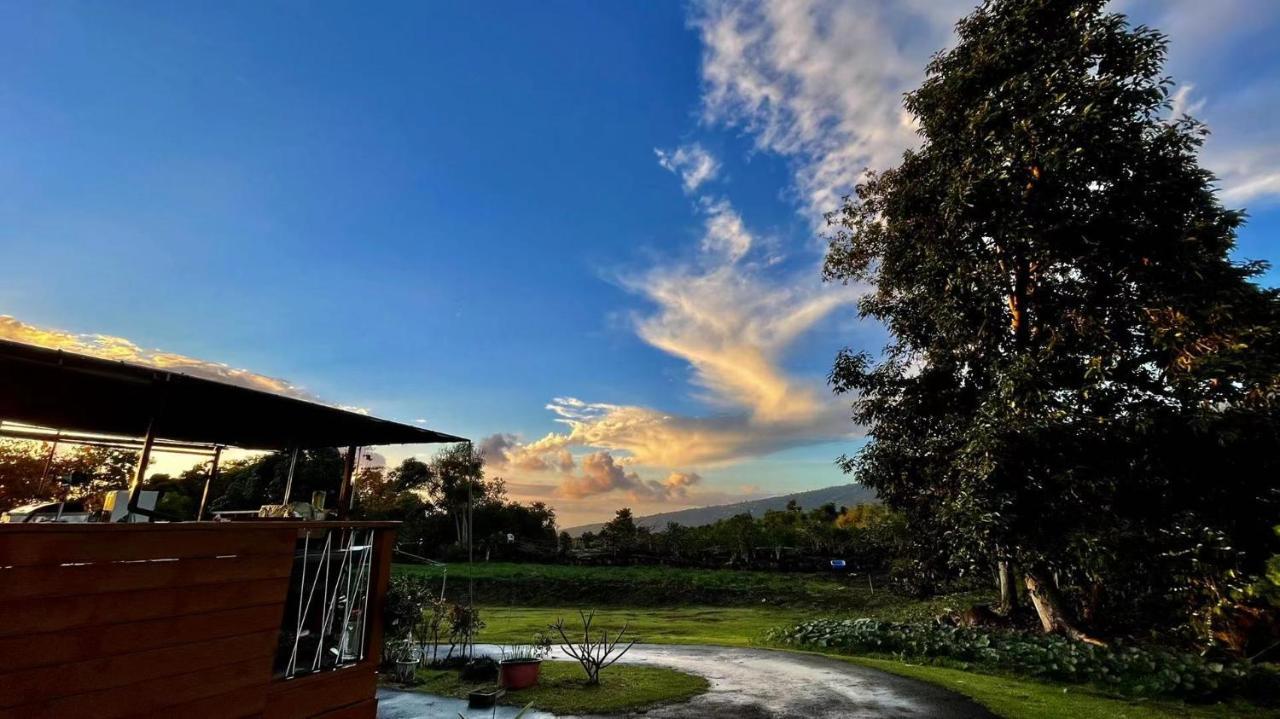 Coffee Garden Bed and Breakfast Captain Cook Εξωτερικό φωτογραφία