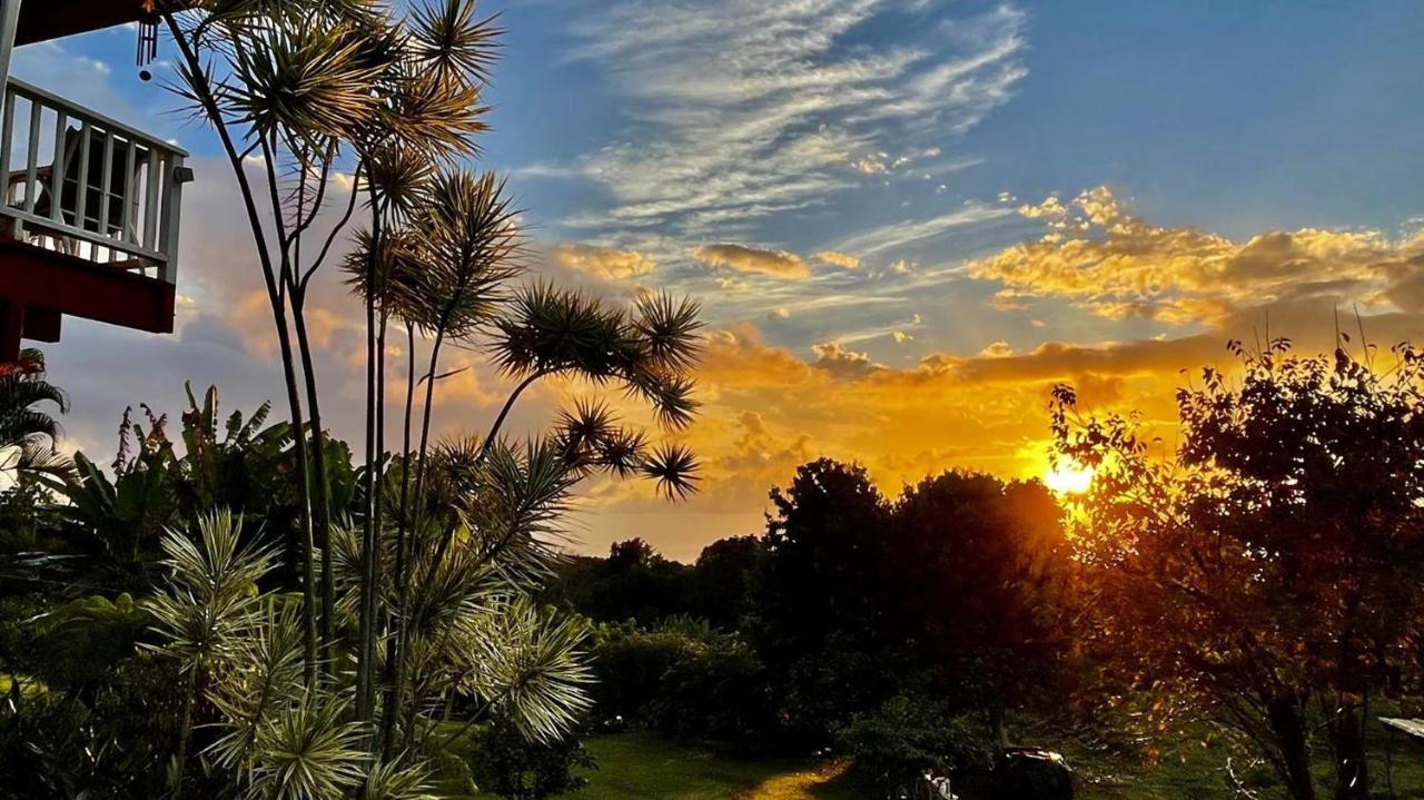 Coffee Garden Bed and Breakfast Captain Cook Εξωτερικό φωτογραφία