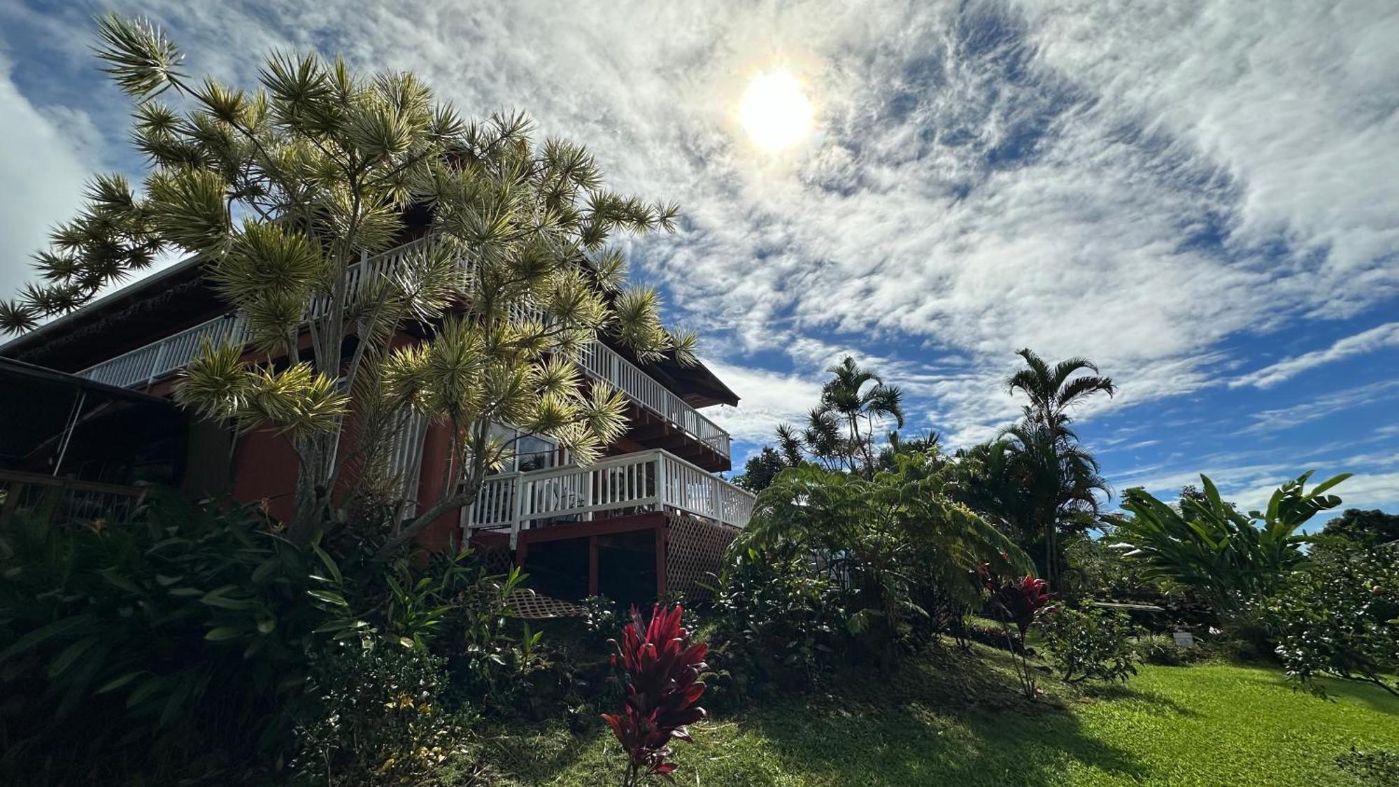Coffee Garden Bed and Breakfast Captain Cook Εξωτερικό φωτογραφία