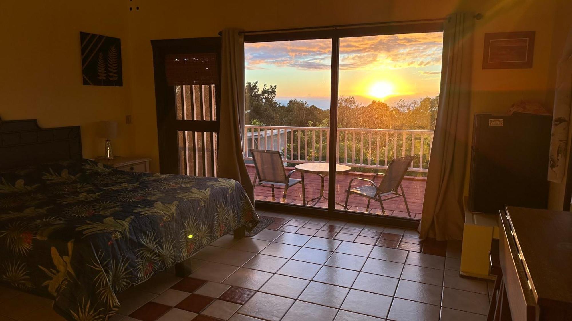 Coffee Garden Bed and Breakfast Captain Cook Εξωτερικό φωτογραφία
