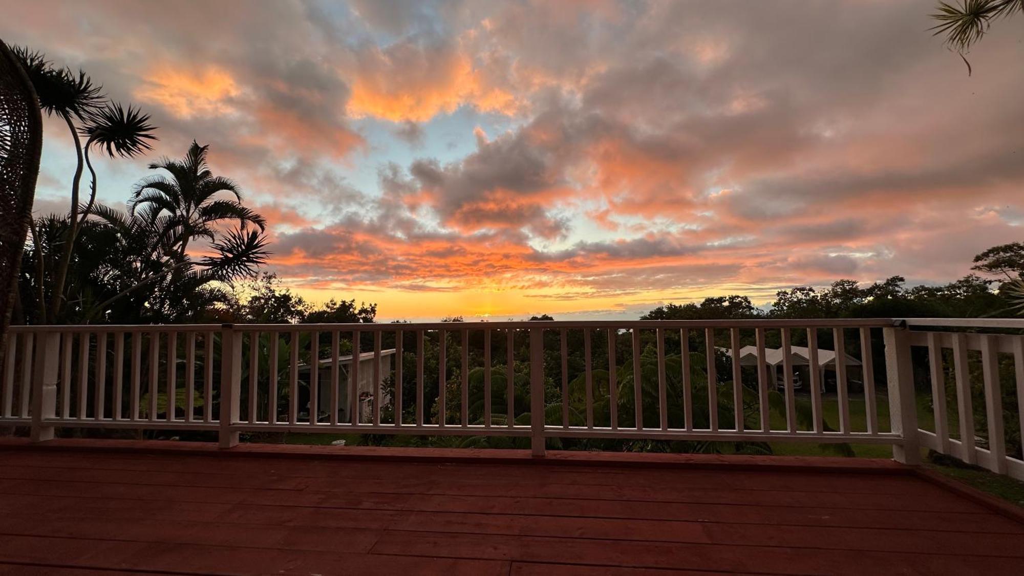 Coffee Garden Bed and Breakfast Captain Cook Εξωτερικό φωτογραφία