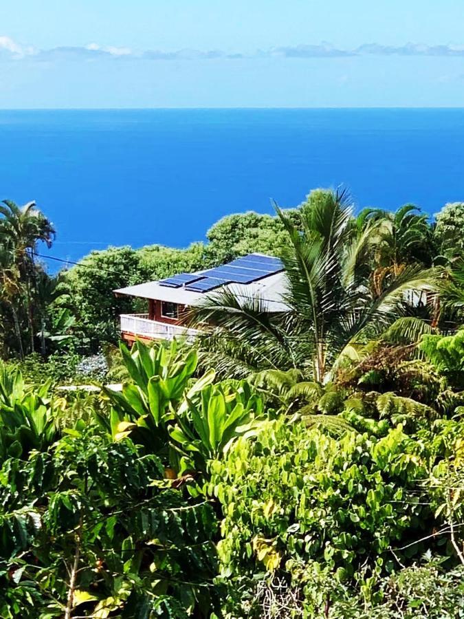 Coffee Garden Bed and Breakfast Captain Cook Εξωτερικό φωτογραφία